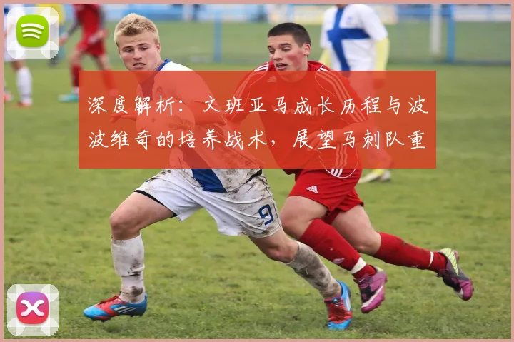 深度解析：文班亚马成长历程与波波维奇的培养战术，展望马刺队重建之路与季后赛前景