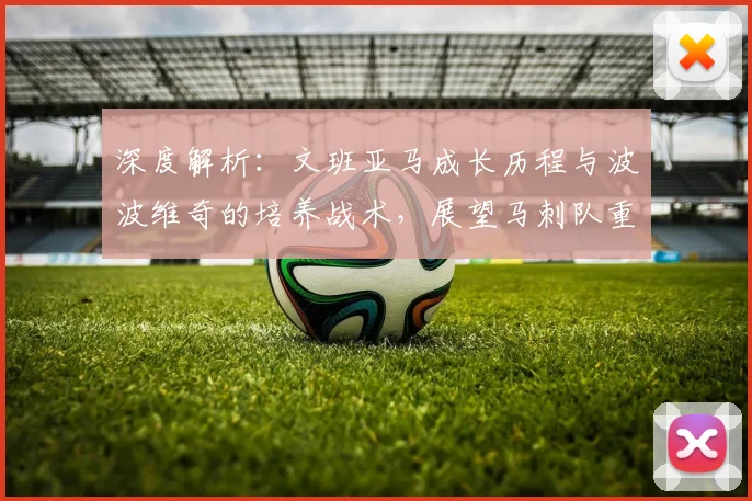 深度解析：文班亚马成长历程与波波维奇的培养战术，展望马刺队重建之路与季后赛前景